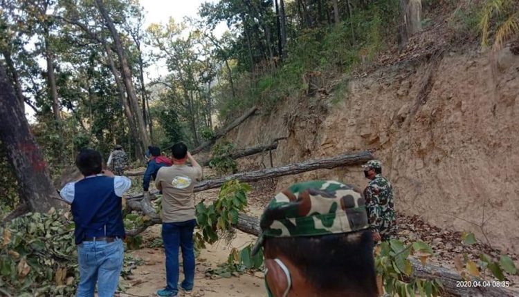 received_265005801193832