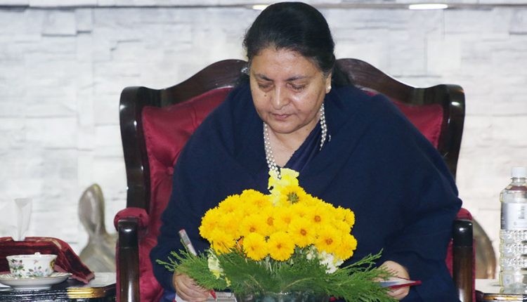 Bidhya-Bhandari