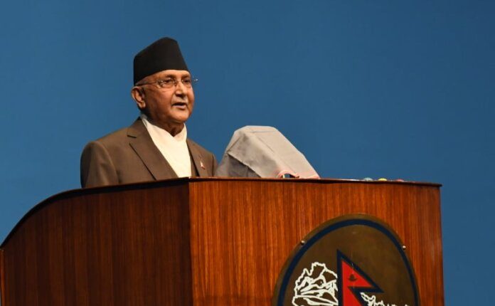 pm-oli-696×463