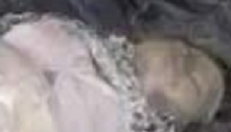 women-dead-body_Rkai3s4rPf