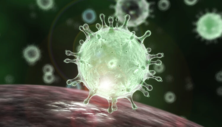 1585876688corona_virus