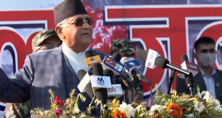 kp_oli_VHz00vOVNm