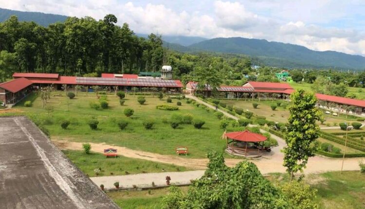 parakitik 1