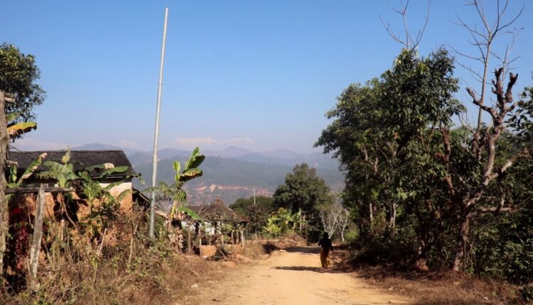 baudi kali gau