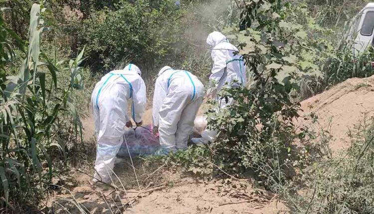 corona-death-photo_20210501090730