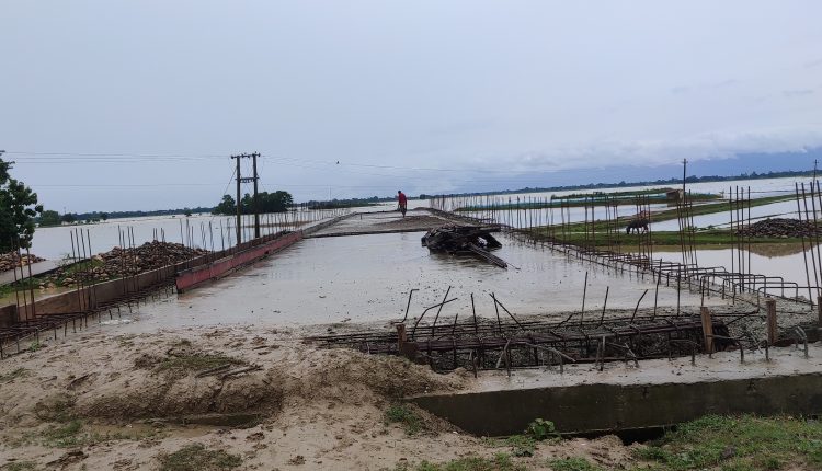 bridge m