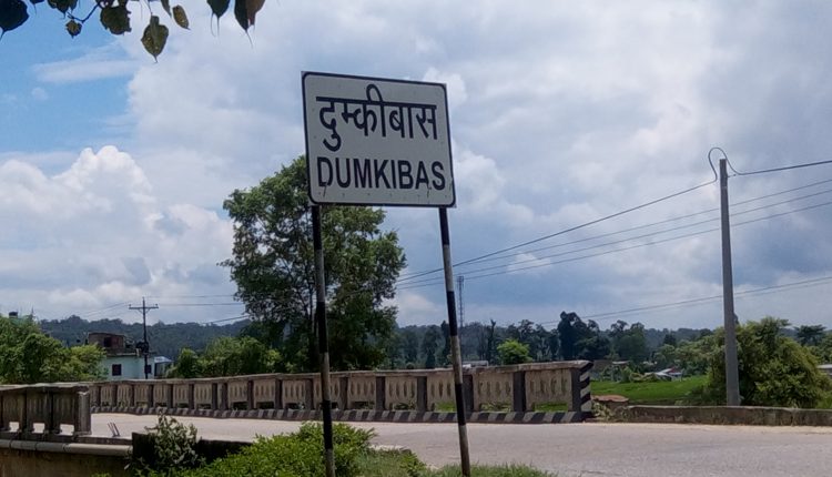 dumkibash