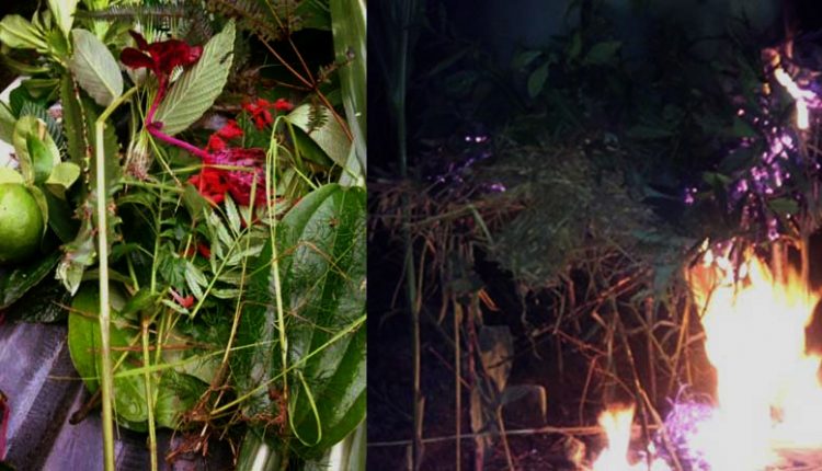 luto-saune-sankranti