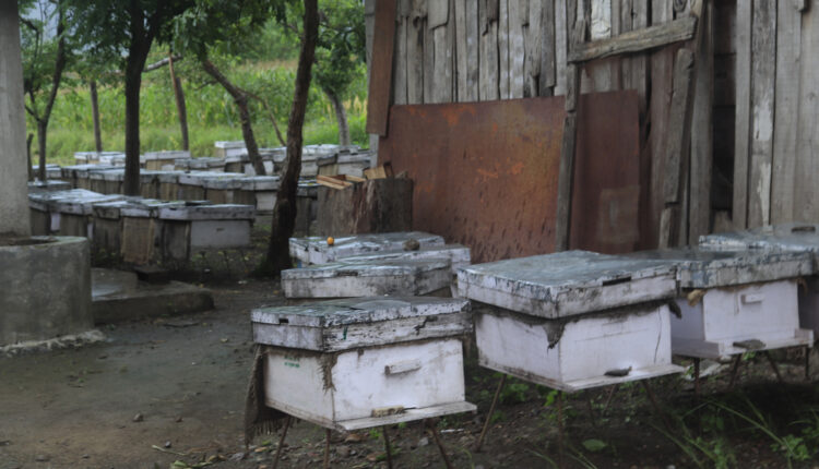 bee1