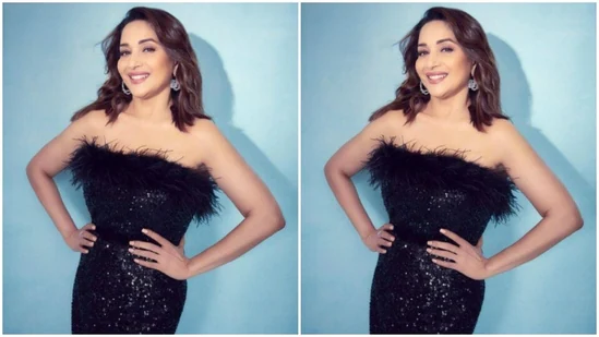 Madhuri Dixit netfix new web series